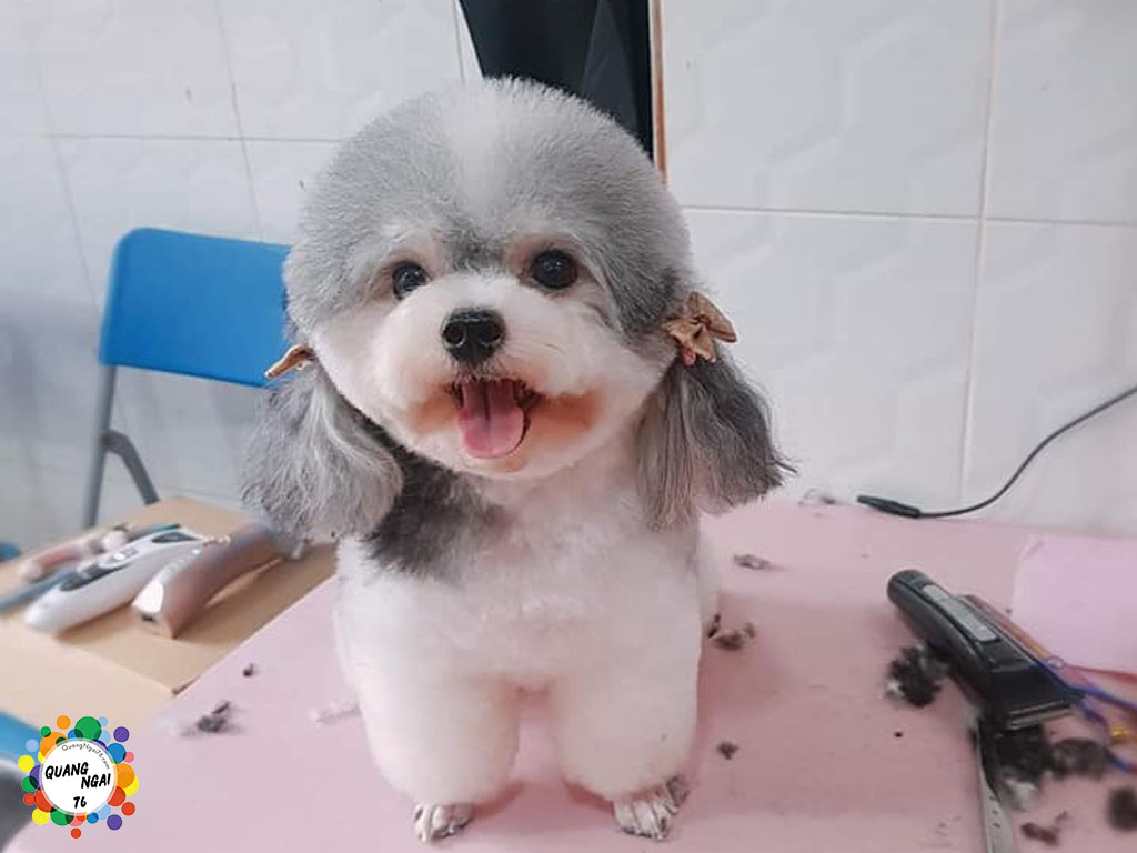 Spa Thú Cưng Happy Paws